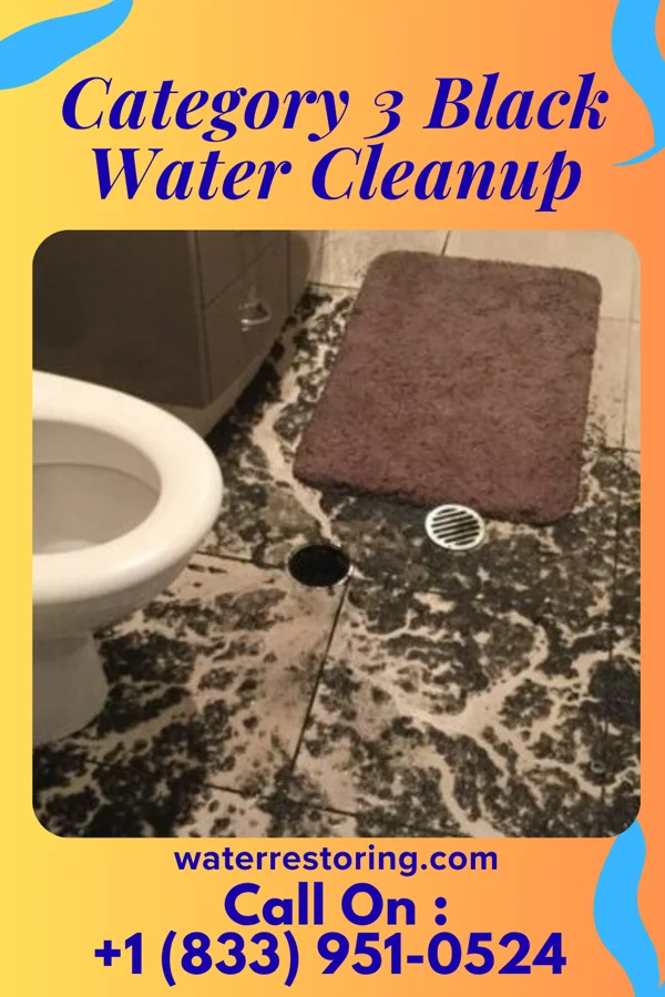 Category 3 Black Water Cleanup in Maryland City, MD
