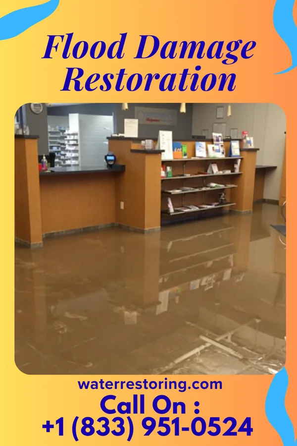 Flood Damage Restoration in Maryland City, MD