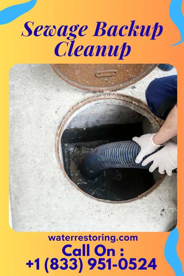 Sewage Backup Cleanup in Maryland City, MD