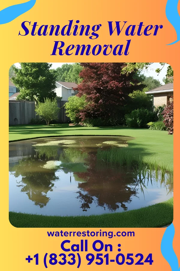 Standing Water Removal in Maryland City, MD